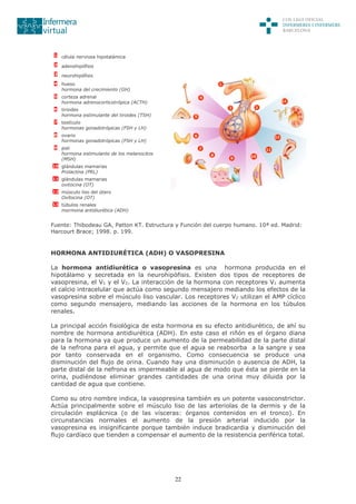 22
1 célula nerviosa hipotalámica
2 adenohipófisis
3 neurohipófisis
4 hueso
hormona del crecimiento (GH)
5 corteza adrenal
hormona adrenocorticotrópica (ACTH)
6 tiroides
hormona estimulante del tiroides (TSH)
7 testículo
hormonas gonadotrópicas (FSH y LH)
8 ovario
hormonas gonadotrópicas (FSH y LH)
9 piel
hormona estimulante de los melanocitos
(MSH)
10 glándulas mamarias
Prolactina (PRL)
11 glándulas mamarias
oxitocina (OT)
12 músculo liso del útero
Oxitocina (OT)
13 túbulos renales
mormona antidiurética (ADH)
Fuente: Thibodeau GA, Patton KT. Estructura y Función del cuerpo humano. 10ª ed. Madrid:
Harcourt Brace; 1998. p. 199.
HORMONA ANTIDIURÉTICA (ADH) O VASOPRESINA
La hormona antidiurética o vasopresina es una hormona producida en el
hipotálamo y secretada en la neurohipófisis. Existen dos tipos de receptores de
vasopresina, el V1 y el V2. La interacción de la hormona con receptores V1 aumenta
el calcio intracelular que actúa como segundo mensajero mediando los efectos de la
vasopresina sobre el músculo liso vascular. Los receptores V2 utilizan el AMP cíclico
como segundo mensajero, mediando las acciones de la hormona en los túbulos
renales.
La principal acción fisiológica de esta hormona es su efecto antidiurético, de ahí su
nombre de hormona antidiurética (ADH). En este caso el riñón es el órgano diana
para la hormona ya que produce un aumento de la permeabilidad de la parte distal
de la nefrona para el agua, y permite que el agua se reabsorba a la sangre y sea
por tanto conservada en el organismo. Como consecuencia se produce una
disminución del flujo de orina. Cuando hay una disminución o ausencia de ADH, la
parte distal de la nefrona es impermeable al agua de modo que ésta se pierde en la
orina, pudiéndose eliminar grandes cantidades de una orina muy diluida por la
cantidad de agua que contiene.
Como su otro nombre indica, la vasopresina también es un potente vasoconstrictor.
Actúa principalmente sobre el músculo liso de las arteriolas de la dermis y de la
circulación esplácnica (o de las vísceras: órganos contenidos en el tronco). En
circunstancias normales el aumento de la presión arterial inducido por la
vasopresina es insignificante porque también induce bradicardia y disminución del
flujo cardíaco que tienden a compensar el aumento de la resistencia periférica total.
 