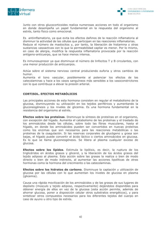 42
Junto con otros glucocorticoides realiza numerosas acciones en todo el organismo
en donde desempeña un papel fundamental en la respuesta del organismo al
estrés, tanto físico como emocional.
Es antiinflamatorio, ya que evita los efectos dañinos de la reacción inflamatoria al
disminuir la actividad de las células que participan en las reacciones inflamatorias.
Reduce el número de mastocitos y, por tanto, la liberación de histamina y otras
sustancias vasoactivas con lo que la permeabilidad capilar es menor. Por lo mismo,
en caso de alergia, modifica la respuesta inflamatoria provocada por la reacción
antígeno-anticuerpo, que se hace menos intensa.
Es inmunosupresor ya que disminuye el número de linfocitos T y B circulantes, con
una menor producción de anticuerpos.
Actúa sobre el sistema nervioso central produciendo euforia y otros cambios de
humor.
Aumenta el tono vascular, posiblemente al potenciar los efectos de las
catecolaminas y hace a los vasos sanguíneos más sensibles a los vasoconstrictores
con lo que contribuye a elevar la presión arterial.
CORTISOL. EFECTOS METABÓLICOS
Las principales acciones de esta hormona consisten en regular el metabolismo de la
glucosa, disminuyendo su utilización en los tejidos periféricos y aumentando la
gluconeogénesis y los niveles de glicemia. Es una hormona fundamental en la
resistencia del organismo al estrés.
Efectos sobre las proteínas. Disminuye la síntesis de proteínas en el organismo,
con excepción del hígado. Aumenta el catabolismo de las proteínas y el traslado de
los aminoácidos desde las células, sobre todo las fibras musculares, hasta el
hígado, en donde los aminoácidos pueden ser convertidos en nuevas proteínas
como los enzimas que son necesarios para las reacciones metabólicas o las
proteínas de la coagulación. Si las reservas corporales de glucógeno y grasa son
bajas, el hígado puede convertir el ácido láctico o ciertos aminoácidos en glucosa.
Es lo que se llama gluconeogénesis. Se libera al plasma cualquier exceso de
glucosa.
Efectos sobre los lípidos. Estimula la lipólisis, es decir, la ruptura de los
triglicéridos en ácidos grasos y glicerol, y la liberación de los ácidos grasos del
tejido adiposo al plasma. Esta acción sobre las grasas la realiza o bien de modo
directo o bien de modo indirecto, al aumentar las acciones lipolíticas de otras
hormonas como la hormona del crecimiento o las catecolaminas.
Efectos sobre los hidratos de carbono. Disminuye la captación y utilización de
glucosa por las células con lo que aumentan los niveles de glucosa en plasma
(glicemia).
Causa una rápida movilización de los aminoácidos y de las grasas de sus lugares de
depósito (músculo y tejido adiposo, respectivamente) dejándolos disponibles para
obtener energía de ellos en vez de la glucosa (esta acción permite, además de
ahorrar glucosa, poner a disposición celular otros substratos energéticos), y para
sintetizar otros compuestos necesarios para los diferentes tejidos del cuerpo en
caso de ayuno u otro tipo de estrés.
 