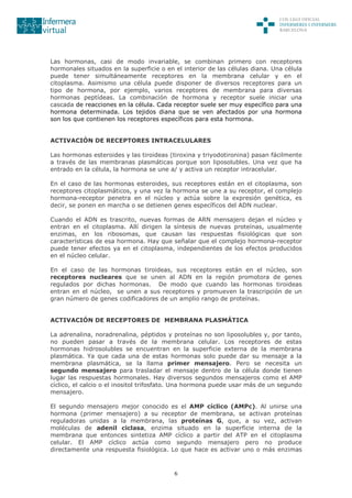 6
Las hormonas, casi de modo invariable, se combinan primero con receptores
hormonales situados en la superficie o en el interior de las células diana. Una célula
puede tener simultáneamente receptores en la membrana celular y en el
citoplasma. Asimismo una célula puede disponer de diversos receptores para un
tipo de hormona, por ejemplo, varios receptores de membrana para diversas
hormonas peptídeas. La combinación de hormona y receptor suele iniciar una
cascada de reacciones en la célula. Cada receptor suele ser muy específico para una
hormona determinada. Los tejidos diana que se ven afectados por una hormona
son los que contienen los receptores específicos para esta hormona.
ACTIVACIÓN DE RECEPTORES INTRACELULARES
Las hormonas esteroides y las tiroideas (tiroxina y triyodotironina) pasan fácilmente
a través de las membranas plasmáticas porque son liposolubles. Una vez que ha
entrado en la célula, la hormona se une a/ y activa un receptor intracelular.
En el caso de las hormonas esteroides, sus receptores están en el citoplasma, son
receptores citoplasmáticos, y una vez la hormona se une a su receptor, el complejo
hormona-receptor penetra en el núcleo y actúa sobre la expresión genética, es
decir, se ponen en marcha o se detienen genes específicos del ADN nuclear.
Cuando el ADN es trascrito, nuevas formas de ARN mensajero dejan el núcleo y
entran en el citoplasma. Allí dirigen la síntesis de nuevas proteínas, usualmente
enzimas, en los ribosomas, que causan las respuestas fisiológicas que son
características de esa hormona. Hay que señalar que el complejo hormona-receptor
puede tener efectos ya en el citoplasma, independientes de los efectos producidos
en el núcleo celular.
En el caso de las hormonas tiroideas, sus receptores están en el núcleo, son
receptores nucleares que se unen al ADN en la región promotora de genes
regulados por dichas hormonas. De modo que cuando las hormonas tiroideas
entran en el núcleo, se unen a sus receptores y promueven la trascripción de un
gran número de genes codificadores de un amplio rango de proteínas.
ACTIVACIÓN DE RECEPTORES DE MEMBRANA PLASMÁTICA
La adrenalina, noradrenalina, péptidos y proteínas no son liposolubles y, por tanto,
no pueden pasar a través de la membrana celular. Los receptores de estas
hormonas hidrosolubles se encuentran en la superficie externa de la membrana
plasmática. Ya que cada una de estas hormonas solo puede dar su mensaje a la
membrana plasmática, se la llama primer mensajero. Pero se necesita un
segundo mensajero para trasladar el mensaje dentro de la célula donde tienen
lugar las respuestas hormonales. Hay diversos segundos mensajeros como el AMP
cíclico, el calcio o el inositol trifosfato. Una hormona puede usar más de un segundo
mensajero.
El segundo mensajero mejor conocido es el AMP cíclico (AMPc). Al unirse una
hormona (primer mensajero) a su receptor de membrana, se activan proteínas
reguladoras unidas a la membrana, las proteínas G, que, a su vez, activan
moléculas de adenil ciclasa, enzima situado en la superficie interna de la
membrana que entonces sintetiza AMP cíclico a partir del ATP en el citoplasma
celular. El AMP cíclico actúa como segundo mensajero pero no produce
directamente una respuesta fisiológica. Lo que hace es activar uno o más enzimas
 