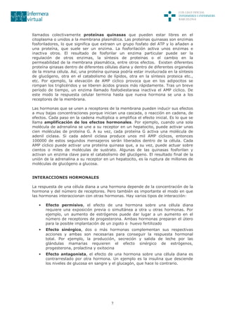 7
llamados colectivamente proteínas quinasas que pueden estar libres en el
citoplasma o unidos a la membrana plasmática. Las proteínas quinasas son enzimas
fosforiladores, lo que significa que extraen un grupo fosfato del ATP y lo añaden a
una proteína, que suele ser un enzima. La fosforilación activa unos enzimas e
inactiva otros. El resultado de fosforilar un enzima particular puede ser la
regulación de otros enzimas, la síntesis de proteínas o el cambio en la
permeabilidad de la membrana plasmática, entre otros efectos. Existen diferentes
proteína qinasas dentro de diferentes células diana y dentro de diferentes organelas
de la misma célula. Así, una proteína quinasa podría estar involucrada en la síntesis
de glucógeno, otra en el catabolismo de lípidos, otra en la síntesis proteica etc.,
etc. Por ejemplo, la elevación de AMP cíclico provoca que en los adipocitos se
rompan los triglicéridos y se liberen ácidos grasos más rápidamente. Tras un breve
período de tiempo, un enzima llamado fosfodiestarasa inactiva el AMP cíclico. De
este modo la respuesta celular termina hasta que nueva hormona se una a los
receptores de la membrana.
Las hormonas que se unen a receptores de la membrana pueden inducir sus efectos
a muy bajas concentraciones porque inician una cascada, o reacción en cadena, de
efectos. Cada paso en la cadena multiplica o amplifica el efecto inicial. Es lo que se
llama amplificación de los efectos hormonales. Por ejemplo, cuando una sola
molécula de adrenalina se une a su receptor en un hepatocito, puede activar unas
cien moléculas de proteína G. A su vez, cada proteína G activa una molécula de
adenil ciclasa. Si cada adenil ciclasa produce unos mil AMP cíclicos, entonces
100000 de estos segundos mensajeros serán liberados dentro de la célula. Cada
AMP cíclico puede activar una proteína quinasa que, a su vez, puede actuar sobre
cientos o miles de moléculas de sustrato. Algunas de las quinasas fosforilan y
activan un enzima clave para el catabolismo del glucógeno. El resultado final de la
unión de la adrenalina a su receptor en un hepatocito, es la ruptura de millones de
moléculas de glucógeno a glucosa.
INTERACCIONES HORMONALES
La respuesta de una célula diana a una hormona depende de la concentración de la
hormona y del número de receptores. Pero también es importante el modo en que
las hormonas interaccionan con otras hormonas. Hay varios tipos de interacción:
• Efecto permisivo, el efecto de una hormona sobre una célula diana
requiere una exposición previa o simultánea a otra u otras hormonas. Por
ejemplo, un aumento de estrógenos puede dar lugar a un aumento en el
número de receptores de progesterona. Ambas hormonas preparan el útero
para la posible implantación de un zigoto o huevo fertilizado
• Efecto sinérgico, dos o más hormonas complementan sus respectivas
acciones y ambas son necesarias para conseguir la respuesta hormonal
total. Por ejemplo, la producción, secreción y salida de leche por las
glándulas mamarias requieren el efecto sinérgico de estrógenos,
progesterona, prolactina y oxitocina
• Efecto antagonista, el efecto de una hormona sobre una célula diana es
contrarrestado por otra hormona. Un ejemplo es la insulina que desciende
los niveles de glucosa en sangre y el glucagón, que hace lo contrario.
 