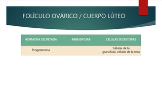 FOLÍCULO OVÁRICO / CUERPO LÚTEO
HORMONA SECRETADA ABREVIATURA CÉLULAS SECRETORAS
Progesterona
Células de la
granulosa, células de la teca
 