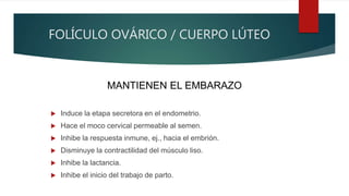 FOLÍCULO OVÁRICO / CUERPO LÚTEO
 Induce la etapa secretora en el endometrio.
 Hace el moco cervical permeable al semen.
 Inhibe la respuesta inmune, ej., hacia el embrión.
 Disminuye la contractilidad del músculo liso.
 Inhibe la lactancia.
 Inhibe el inicio del trabajo de parto.
MANTIENEN EL EMBARAZO
 