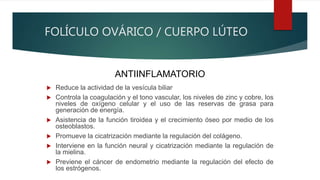 FOLÍCULO OVÁRICO / CUERPO LÚTEO
 Reduce la actividad de la vesícula biliar.
 Controla la coagulación y el tono vascular, los niveles de zinc y cobre, los
niveles de oxígeno celular y el uso de las reservas de grasa para
generación de energía.
 Asistencia de la función tiroidea y el crecimiento óseo por medio de los
osteoblastos.
 Promueve la cicatrización mediante la regulación del colágeno.
 Interviene en la función neural y cicatrización mediante la regulación de
la mielina.
 Previene el cáncer de endometrio mediante la regulación del efecto de
los estrógenos.
ANTIINFLAMATORIO
 