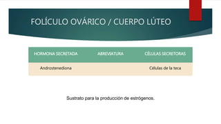 FOLÍCULO OVÁRICO / CUERPO LÚTEO
HORMONA SECRETADA ABREVIATURA CÉLULAS SECRETORAS
Androstenediona Células de la teca
Sustrato para la producción de estrógenos.
 