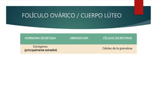 FOLÍCULO OVÁRICO / CUERPO LÚTEO
HORMONA SECRETADA ABREVIATURA CÉLULAS SECRETORAS
Estrógenos
(principalmente estradiol)
Células de la granulosa
 