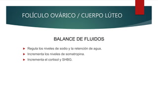 FOLÍCULO OVÁRICO / CUERPO LÚTEO
 Regula los niveles de sodio y la retención de agua.
 Incrementa los niveles de somatropina.
 Incrementa el cortisol y SHBG.
BALANCE DE FLUIDOS
 