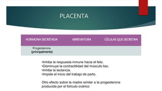 PLACENTA
HORMONA SECRETADA ABREVIATURA CÉLULAS QUE SECRETAN
Progesterona
(principalmente)
•Inhibe la respuesta inmune hacia el feto.
•Disminuye la contractilidad del músculo liso.
•Inhibe la lactancia.
•Impide el inicio del trabajo de parto.
Otro efecto sobre la madre similar a la progesterona
producida por el folículo ovárico
 