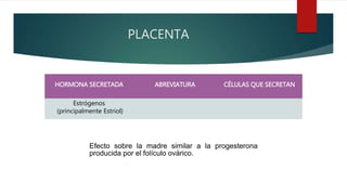 PLACENTA
HORMONA SECRETADA ABREVIATURA CÉLULAS QUE SECRETAN
Estrógenos
(principalmente Estriol)
Efecto sobre la madre similar a la progesterona
producida por el folículo ovárico.
 