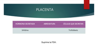 PLACENTA
HORMONA SECRETADA ABREVIATURA CÉLULAS QUE SECRETAN
Inhibina Trofoblasto
Suprime la FSH.
 