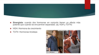  Sinergista: cuando dos hormonas en conjunto tienen un efecto más
potente que cuando se encuentran separadas. (ej: hGH y T3/T4)
 HGH: Hormona de crecimiento
 T3/T4: Hormonas tiroideas
 