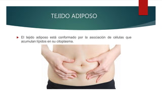 TEJIDO ADIPOSO
 El tejido adiposo está conformado por la asociación de células que
acumulan lípidos en su citoplasma.
 