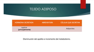 TEJIDO ADIPOSO
HORMONA SECRETADA ABREVIATURA CÉLULAS QUE SECRETAN
Leptina
(principalmente)
Adipocitos
Disminución del apetito e incremento del metabolismo.
 