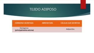 TEJIDO ADIPOSO
HORMONA SECRETADA ABREVIATURA CÉLULAS QUE SECRETAN
Estrógenos
(principalmente estrona)
Adipocitos
 