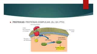  PROTEICAS: PROTEÍNAS COMPLEJAS. (EJ, GH, PTH)
 