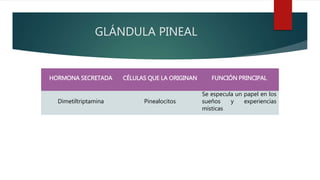 GLÁNDULA PINEAL
HORMONA SECRETADA CÉLULAS QUE LA ORIGINAN FUNCIÓN PRINCIPAL
Dimetiltriptamina Pinealocitos
Se especula un papel en los
sueños y experiencias
místicas
 