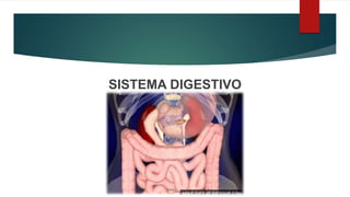 SISTEMA DIGESTIVO
 