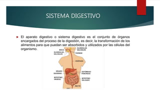 SISTEMA DIGESTIVO
 El aparato digestivo o sistema digestivo es el conjunto de órganos
encargados del proceso de la digestión, es decir, la transformación de los
alimentos para que puedan ser absorbidos y utilizados por las células del
organismo.
 