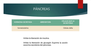 PÁNCREAS
HORMONA SECRETADA ABREVIATURA
CÉLULAS QUE LA
SECRETORAS
Somatostatina Células delta
Inhibe la liberación de insulina.
Inhibe la liberación de glucagón Suprime la acción
exocrina secretoria del páncreas.
 