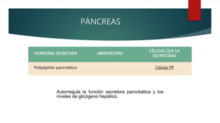 PÁNCREAS
HORMONA SECRETADA ABREVIATURA
CÉLULAS QUE LA
SECRETORAS
Polipéptido pancreático Células PP
Autorregula la función secretora pancreática y los
niveles de glicógeno hepático.
 