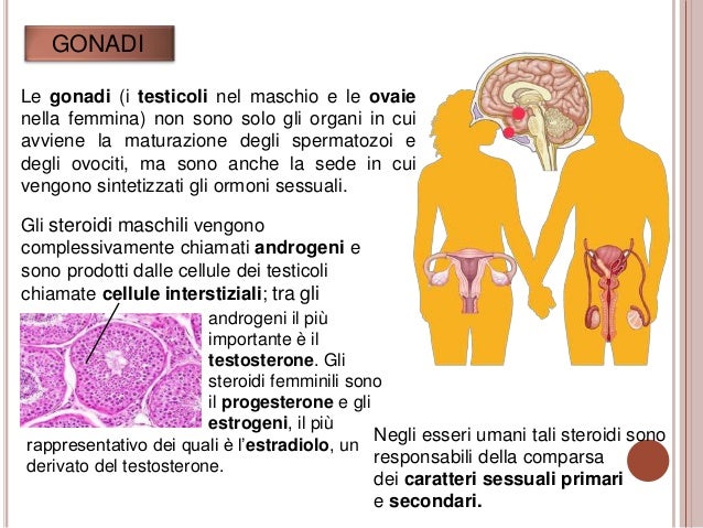 Restauro di una potenzialità dopo metano