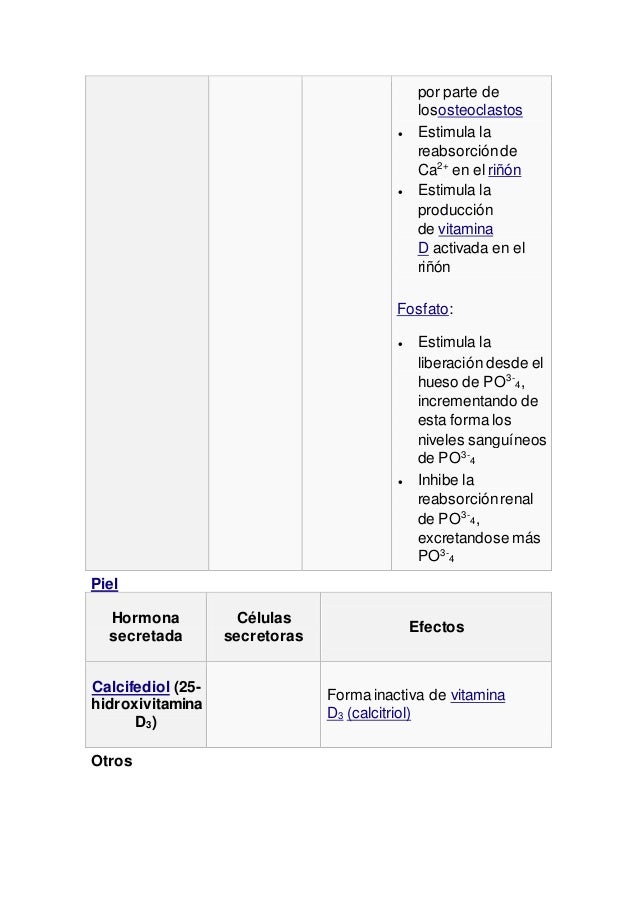 Sistema endocrino Sistema endocrino