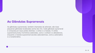 As Glândulas Suprarrenais
As glândulas suprarrenais, também chamadas de adrenais, são duas
pequenas glândulas localizadas acima dos rins. Cada glândula suprarrenal
é composta por duas partes distintas: o córtex e a medula. O córtex
suprarrenal produz hormônios esteroides, como o cortisol e a aldosterona,
enquanto a medula suprarrenal secreta catecolaminas, como a adrenalina
e a noradrenalina.
10 - 15
 