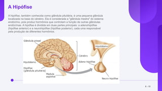A Hipófise
A hipófise, também conhecida como glândula pituitária, é uma pequena glândula
localizada na base do cérebro. Ela é considerada a "glândula mestra" do sistema
endócrino, pois produz hormônios que controlam a função de outras glândulas
endócrinas. A hipófise é dividida em duas partes principais: a adenohipófise
(hipófise anterior) e a neurohipófise (hipófise posterior), cada uma responsável
pela produção de diferentes hormônios.
6 - 15
 