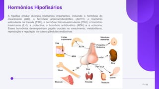 Hormônios Hipofisários
A hipófise produz diversos hormônios importantes, incluindo o hormônio do
crescimento (GH), o hormônio adrenocorticotrófico (ACTH), o hormônio
estimulante da tireoide (TSH), o hormônio folículo-estimulante (FSH), o hormônio
luteinizante (LH), a prolactina, o hormônio antidiurético (ADH) e a ocitocina.
Esses hormônios desempenham papéis cruciais no crescimento, metabolismo,
reprodução e regulação de outras glândulas endócrinas.
7 - 15
 