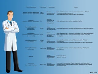 Hormona secretada Abreviatura Producida por Efectos
Hormona liberadora de tirotropina
(hormona liberadora de prolactina)
TRH ó
TSHRH
Neuronas
neurosecretoras
parvocelulares
Estimula la liberación de hormona estimulante de tiroides (TSH) de
la adenohipófisis (principalmente)
Estimula la liberación de prolactina de la adenohipófisis
Dopamina
(hormona inhibidora de prolactina)
DA
Neuronas
productoras de
dopamina del
núcleo arcuato
Inhibe la liberación de prolactina de la adenohipófisis
Hormona liberadora de
somatotropina
(somatocrinina)
GHRH
Células
neuroendocrinas
del núcleo arcuato
Estimula la liberación de hormona del crecimiento (GH) de la adenohipófisis
Somatostatina
(hormona inhibidora de la hormona
de crecimiento)
GHIH
Células
neuroendocrinas
del núcleo
periventricular
Inhibe la liberación de la hormona de crecimiento (GH)] de la adenohipófisis
Inhibe la liberación de la hormona estimulante de tiroides (TSH) de la
adenohipófisis
Hormona liberadora de
gonadotrofina
GnRH ó
LHRH
Células
neuroendocrinas
del área preóptica
Estimula la liberación de hormona foliculoestimulante (FSH) de la
adenohipófisis
Estimula la liberación de la hormona luteinizante (LH) de la adenohipófisis
Hormona liberadora de
corticotropina
CRH ó CRF
Neuronas
neurosecretoras
parvocelulares
Estimula la liberación de hormona adrenocorticotropa (ACTH) de la
adenohipófisis
Oxitocina
Células
neurosecretoras
magnocelulares
Contracción uterina
Lactancia materna
Vasopresina
(hormona antidiurética)
ADH ó AVP
Neuronas
neurosecretoras
parvocelulares
Incrementa la permeabilidad al agua en el túbulo contorneado distal y el
conducto colector de la nefrona promoviendo la reabsorción de agua y el
volumen sanguíneo
 