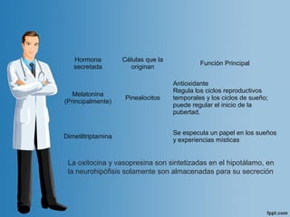 Hormona 
secretada
Células que la 
originan
Función Principal
Melatonina
(Principalmente)
Pinealocitos
Antioxidante
Regula los ciclos reproductivos 
temporales y los ciclos de sueño; 
puede regular el inicio de la 
pubertad.
Dimetiltriptamina
Se especula un papel en los sueños 
y experiencias místicas
La oxitocina y vasopresina son sintetizadas en el hipotálamo, en 
la neurohipófisis solamente son almacenadas para su secreción
 