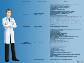 Hormona secretada Células secretoras Efectos
Progesterona
Células de la granulosa,
células de la teca
•Mantienen el embarazo: Induce la etapa secretora en el endometrio​
•Hace el moco cervical permeable al semen
•Inhibe la respuesta inmune, ej., hacia el embrión
•Disminuye la contractilidad del músculo liso
•Inhibe la lactancia
•Inhibe el inicio del trabajo de parto.
Otras:
•Incrementa los niveles de Factor de crecimiento epidérmico
•Incrementa la temperatura basal durante la ovulación
•Reduce los espasmos y relaja el músculo liso
Antiinflamatorio
•Reduce la actividad de la vesícula biliar
•Controla la coagulación y el tono vascular, los niveles de zinc y cobre, los
niveles de oxígeno celular y el uso de las reservas de grasa para
generación de energìa
Promueve la cicatrización mediante la regulación del colágeno
•Interviene en la función neural y cicatrización mediante la regulación de
la mielina
•Previene el cáncer de endometrio mediante la regulación del efecto de los
estrógenos
Androstenediona Células de la teca Sustrato para la producción de estrógenos
Estrógenos
(principalmente estradiol)
Células de la granulosa
•Estructural: Promueve la aparición de los caracteres sexuales femeninos
•Acelera la tasa de crecimiento
•Acelera el metabolismo
•Reduce la masa muscular
•Estimula la proliferación del endometrio
•Incrementa el crecimiento uterino
•Mantiene los vasos sanguíneos y la piel
•Reduce la reabsorción ósea, incrementando la formación de hueso
Síntesis de proteínas:
•Incrementa la producción hepática de proteínas ligando
Coagulación:
•Incrementa la adherencia plaqueta
•Incrementa los niveles de HDL y triglicéridos
•Disminuye los niveles de LDL
Balance de fluidos:
•Regula los niveles de sodio y la retención de agua
•Incrementa los niveles de somatropina
•Incrementa el cortisol y SHBG
Tracto gastrointestinal
•Reduce la motilidad intestinal
•Incrementa el colesterol en la bilis
Melanina:
•Incrementa la feomelanina, reduce la eumelanina
Cáncer:
•Incrementa el crecimiento de cánceres de seno sensibles a estrógenos​
Función pulmonar:
•Regula la función pulmonar mediante el mantenimiento alvéolos.
Inhibina Células de la granulosa Inhibe la producción de FSH desde la adenohipófisis
 