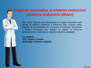 Órganos asociados al sistema endocrino
(sistema endócrino difuso)
Hay varios órganos que desempeñan un papel importante para
ayudar al sistema endocrino a funcionar bien. Aunque estos
órganos no son glándulas en sí mismos, sí producen, almacenan
y vierten hormonas que ayudan al cuerpo a funcionar
correctamente y mantener un sistema endocrino saludable.
•La placenta
•Piel, hígado y riñones
•Estómago e intestino delgado
 