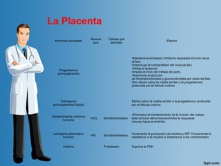 Hormona secretada
Abrevia
tura
Células que
secretan
Efectos
Progesterona
(principalmente)
•Mantiene el embarazo: Inhibe la respuesta inmune hacia​
el feto.
•Disminuye la contractilidad del músculo liso
•Inhibe la lactancia
•Impide el inicio del trabajo de parto.
•Soporta la producción
de mineralocoticoides y glucocorticoides por parte del feto.
Otro efecto sobre la madre similar a la progesterona
producida por el folículo ovárico
Estrógenos
(principalmente Estriol)
Efecto sobre la madre similar a la progesterona producida
por el folículo ovárico
Gonadotropina coriónica
humana
HCG Sincitiotrofoblasto
•Promueve el mantenimiento de la función del cuerpo
lúteo al inicio del embarazoInhibe la respuesta
inmune hacia el embrión.
Lactógeno placentario
humano
HPL Sincitiotrofoblasto
Incrementa la producción de insulina y IGF-1Incrementa la
resistencia a la insulina e intolerancia a los carbohidratos
Inhibina Trofoblasto Suprime la FSH
La Placenta
 