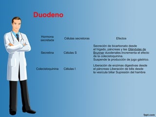 Duodeno
Hormona
secretada
Células secretoras Efectos
Secretina Células S
Secreción de bicarbonato desde
el hígado, páncreas y las Glándulas de
Brunner duodenales.Incrementa el efecto
de la colecistoquinina.
Suspende la producción de jugo gástrico.
Colecistoquinina Células I
Liberación de enzimas digestivas desde
el páncreas Liberación de bilis desde
la vesícula biliar Supresión del hambre
 