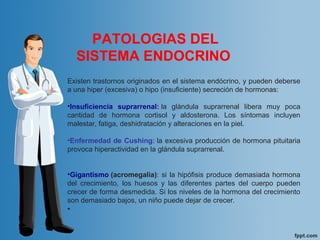 PATOLOGIAS DEL
SISTEMA ENDOCRINO
Existen trastornos originados en el sistema endócrino, y pueden deberse
a una hiper (excesiva) o hipo (insuficiente) secreción de hormonas:
•Insuficiencia suprarrenal: la glándula suprarrenal libera muy poca
cantidad de hormona cortisol y aldosterona. Los síntomas incluyen
malestar, fatiga, deshidratación y alteraciones en la piel.
•Enfermedad de Cushing: la excesiva producción de hormona pituitaria
provoca hiperactividad en la glándula suprarrenal.
•Gigantismo (acromegalia): si la hipófisis produce demasiada hormona
del crecimiento, los huesos y las diferentes partes del cuerpo pueden
crecer de forma desmedida. Si los niveles de la hormona del crecimiento
son demasiado bajos, un niño puede dejar de crecer.
•
 