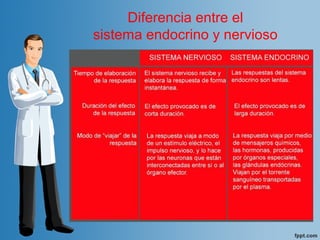 Diferencia entre el
sistema endocrino y nervioso
 
