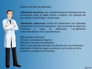 Existen dos tipos de glándulas:
•Glándulas exocrinas, que trabajan liberando directamente las
secreciones sobre el tejido interno o externo. Por ejemplo las
que asisten al estómago y al páncreas.
•Glándulas endócrinas, donde las secreciones son liberadas
directamente al torrente sanguíneo. Aquí es donde se alojan las
hormonas y luego se distribuyen. Las glándulas
endocrinas tienen como características:
No poseen conductos.
Tienen una elevada irrigación.
Poseen vacuolas intracelulares.
Son unas cápsulas cerradas recubiertas por una membrana
plasmática. Contienen agua o enzimas y su función es la de
contener y proteger las hormonas.
 