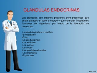 Las glándulas son órganos pequeños pero poderosos que
están situados en todo el cuerpo y que controlan importantes
funciones del organismo por medio de la liberación de
hormonas.
•La glándula pituitaria o hipófisis
•El hipotálamo
•El timo
•La glándula pineal
•Los testículos
•Los ovarios
•La tiroides
•Las glándulas adrenales
•La paratiroides
•El páncreas
GLANDULAS ENDOCRINAS
 
