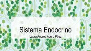 Sistema Endocrino
Laura Andrea Acero Páez
 