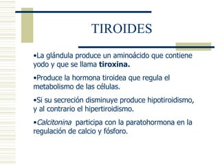 TIROIDES La glándula produce un aminoácido que contiene yodo y que se llama  tiroxina. Produce la hormona tiroidea que regula el metabolismo de las células. Si su secreción disminuye produce hipotiroidismo, y al contrario el hipertiroidismo. Calcitonina   participa con la paratohormona en la regulación de calcio y fósforo. 