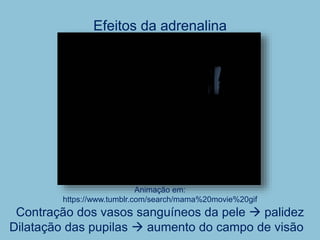 Efeitos da adrenalina
Contração dos vasos sanguíneos da pele  palidez
Dilatação das pupilas  aumento do campo de visão
Animação em:
https://www.tumblr.com/search/mama%20movie%20gif
 