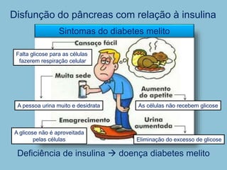 Deficiência de insulina  doença diabetes melito
Disfunção do pâncreas com relação à insulina
Sintomas do diabetes melito
Falta glicose para as células
fazerem respiração celular
Eliminação do excesso de glicose
As células não recebem glicose
A pessoa urina muito e desidrata
A glicose não é aproveitada
pelas células
 
