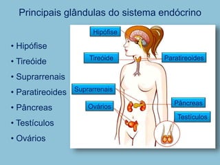 Principais glândulas do sistema endócrino
• Hipófise
• Tireóide
• Suprarrenais
• Paratireoides
• Pâncreas
• Testículos
• Ovários
Hipófise
Pâncreas
Ovários
Testículos
Tireóide
Suprarrenais
Paratireoides
 