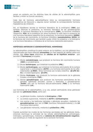 16
ponen en contacto con los distintos tipos de células de la adenohipófisis para
facilitar o inhibir su función secretora.
Cada tipo de hormona adenohipofisaria tiene su correspondiente hormona
hipotalámica de liberación y algunas tienen también la correspondiente hormona
hipotalámica de inhibición.
Así, el hipotálamo secreta la hormona liberadora de la tirotropina (TRH) que
también estimula la prolactina; la hormona liberadora de las gonadotropinas
(GnRH); la hormona liberadora de la corticotropina (CRH); la hormona inhibidora
(dopamina, PIH) de la prolactina (en seres humanos no está clara la existencia de
una hormona liberadora específica de la prolactina); la hormona liberadora (GHRH)
de la hormona del crecimiento; la hormona inhibidora (somatostatina, GHIH) de
la hormona del crecimiento que también puede inhibir la prolactina y la tirotropina
y la hormona liberadora e inhibidora de la hormona melanocito-estimulante.
HIPÓFISIS ANTERIOR O ADENOHIPÓFISIS. HORMONAS
La adenohipófisis constituye la parte anterior de la hipófisis y es una glándula muy
vascularizada que tiene extensos sinusoides (un tipo especial de capilar) entre sus
células. Hay cinco tipos diferentes de células en la hipófisis anterior que
secretan 7 hormonas principales.
1. Células somatotropas, que producen la hormona del crecimiento humana
(hGH) o somatotropina.
2. Células lactotropas, que sintetizan la prolactina (PRL).
3. Células corticotropas, que sintetizan la hormona estimulante de la corteza
suprarrenal o corticotropina (ACTH) y la hormona estimulante de los alfa-
melanocitos (α-MSH). Otras hormonas son la beta endorfina (β-LPH 61-
91) y la beta-lipotropina (β-LPH).
4. Células tirotropas, que producen la hormona estimulante de la glándula
tiroides o tirotropina (TSH).
5. Células gonadotropas, que producen las hormonas estimulantes de las
gónadas (glándulas sexuales: ovarios y testículos) o gonadotropinas
(GnSH) que son la hormona folículo-estimulante (FSH) y la hormona
luteinizante (LH).
Las hormonas de la adenohipófisis, a su vez, actúan estimulando otras glándulas
que son sus glándulas diana, como son:
• La glándula tiroides, mediante la tirotropina o TSH
• La corteza suprarrenal, mediante la ACTH o corticotropina
• Los ovarios y los testículos (gónadas o glándulas sexuales), mediante las
gonadotropinas que son la FSH (hormona folículoestimulante) y la LH
(hormona luteinizante)
• Las glándulas mamarias, mediante la prolactina o PRL
Cuando aumentan los niveles de las hormonas secretadas por las glándulas diana,
entonces disminuye la actividad de las células adenohipofisarias corticotropas,
tirotropas y gonadotropas, mediante un sistema de retroalimentación negativo,
que constituye un modo de regulación de la secreción hormonal.
 