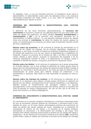 17
Se establece, pues, un eje de actividad hormonal: el hipotálamo actúa sobre la
adenohipófisis, la adenohipófisis actúa sobre las glándulas diana y los productos
hormonales producidos por éstas actúan, a su vez, sobre el hipotálamo y la
adenohipófisis para regular su acción.
HORMONA DEL CRECIMIENTO O SOMATOTROPINA (GH). EFECTOS
METABÓLICOS
A diferencia de las otras hormonas adenohipofisarias, la hormona del
crecimiento no funciona a través de una glándula diana sino que actúa sobre casi
todos los tejidos del organismo. Se llama también hormona somatotrópica o
somatotropina o GH y es la hormona más abundante secretada por la
adenohipófisis o hipófisis anterior. Es una pequeña molécula proteica de cadena
única que provoca el crecimiento de todos los tejidos del cuerpo capaces de
crecer. La somatotropina es necesaria, por tanto, para el desarrollo corporal normal
del niño y adolescente.
Efectos sobre las proteínas: la GH aumenta la entrada de aminoácidos en el
interior de las células (en especial, las de músculo esquelético, hepatocitos y
adipocitos) y, por tanto, aumenta la síntesis de proteínas (anabolismo proteico) en
las células del organismo a la vez que reduce la desintegración o catabolismo de
proteínas. Produce un aumento de la síntesis de DNA y de RNA y de la división
celular. Debido a estos efectos, aumenta el crecimiento del esqueleto y de los
músculos esqueléticos durante la niñez y la adolescencia. En adultos, ayuda a
mantener el tamaño de huesos y músculos y promueve la reparación tisular.
Efectos sobre los lípidos: la GH estimula el catabolismo de la grasa almacenada
en el tejido adiposo, con lo que aumenta la liberación de ácidos grasos libres al
plasma que son aprovechados por las células del organismo para obtener energía al
estimular su conversión a acetil-coenzima A. De modo que bajo la influencia de la
somatotropina se utiliza grasa para obtener energía de preferencia a los
carbohidratos y proteínas. Este efecto es más importante en períodos de ayuno o
hambre.
Efectos sobre los hidratos de carbono: la GH disminuye la utilización de la
glucosa en el organismo para obtener energía porque disminuye la captación de
glucosa por las células, principalmente las de músculo esquelético y los adipocitos.
Además acelera la transformación del glucógeno hepático en glucosa
(glucógenolisis). Como consecuencia de estos dos efectos, produce un aumento del
nivel de glucosa en sangre (hiperglicemia). Por eso se dice que la GH tiene un
efecto anti insulina o un efecto diabetogénico.
HORMONA DEL CRECIMIENTO O SOMATOTROPINA (GH). EFECTOS SOBRE
EL CRECIMIENTO
El crecimiento es un proceso complejo controlado por numerosos compuestos entre
los que se encuentran diversos factores de crecimiento y hormonas como la GH,
además de otras. La GH tiene efectos estimuladores directos del crecimiento de
todos los tejidos del cuerpo capaces de crecer, mediados por el transporte de
aminoácidos al interior de las células y el aumento de la síntesis proteica,
estimulando el crecimiento y la diferenciación del cartílago y del hueso. Pero
también tiene efectos indirectos promoviendo la síntesis por las células del hígado o
hepatocitos, de los factores de crecimiento similares a la insulina (IGF, insulin-like
growth factor, siglas en inglés) que estimulan la división de las células del cartílago
 