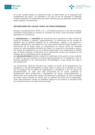 36
En el ser humano adulto, la calcitonina tiene un débil efecto en la regulación del
metabolismo del calcio. Los pacientes a los que se les ha extirpado la glándula
tiroides mantienen la homeostasia del calcio siempre que sus glándulas paratiroides
estén intactas y funcionantes.
METABOLISMO DEL CALCIO. PAPEL DE OTRAS HORMONAS
Aunque la paratohormona (PTH) y la 1, 25-dihidroxivitamina D son las principales
hormonas involucradas en modular el recambio de hueso, otras hormonas también
participan en ese proceso.
La testosterona y el estradiol son necesarias para mantener la masa normal de
hueso en hombres y mujeres, respectivamente. La disminución en los niveles de
estradiol que se produce después de la menopausia, expone a las mujeres a
padecer osteoporosis, consistente en una masa disminuida del hueso debida a una
disminución de la matriz ósea. La osteoporosis es menos común en hombres
porque su masa esquelética tiende a ser mayor a lo largo de la vida adulta y porque
los niveles de testosterona en los hombres disminuyen muy lentamente a medida
que se hacen mayores a diferencia de la disminución brusca del estradiol en las
mujeres que se da después de la menopausia.
Los glucocorticoides también modulan la masa ósea. Esta acción es más evidente
en casos en los que aumente el nivel de glucocorticoides en el organismo o por un
proceso patológico o por administración farmacológica, lo que puede dar lugar a
una osteporosis.
Los mecanismos celulares precisos que median la acción de la testosterona, los
estrógenos y los glucocorticoides no están claros. A pesar de la pérdida de hueso
que se produce con el déficit de testosterona o estrógenos o con el exceso de
glucocorticoides, en cada caso está preservado de un modo cualitativo el
acoplamiento entre producción y degradación de hueso. Presumiblemente, la
disminución de la masa ósea refleja una desviación cuantitativa en que la cantidad
de hueso nuevo formado es menor que la cantidad de hueso que es degradado.
Como este fenómeno sucede en múltiples lugares en los huesos, el resultado final
es una disminución en la masa total de hueso.
 