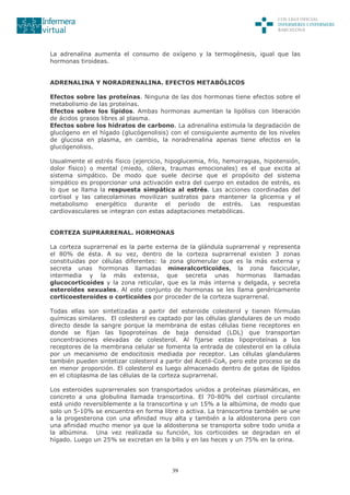 39
La adrenalina aumenta el consumo de oxígeno y la termogénesis, igual que las
hormonas tiroideas.
ADRENALINA Y NORADRENALINA. EFECTOS METABÓLICOS
Efectos sobre las proteínas. Ninguna de las dos hormonas tiene efectos sobre el
metabolismo de las proteínas.
Efectos sobre los lípidos. Ambas hormonas aumentan la lipólisis con liberación
de ácidos grasos libres al plasma.
Efectos sobre los hidratos de carbono. La adrenalina estimula la degradación de
glucógeno en el hígado (glucógenolisis) con el consiguiente aumento de los niveles
de glucosa en plasma, en cambio, la noradrenalina apenas tiene efectos en la
glucógenolisis.
Usualmente el estrés físico (ejercicio, hipoglucemia, frío, hemorragias, hipotensión,
dolor físico) o mental (miedo, cólera, traumas emocionales) es el que excita al
sistema simpático. De modo que suele decirse que el propósito del sistema
simpático es proporcionar una activación extra del cuerpo en estados de estrés, es
lo que se llama la respuesta simpática al estrés. Las acciones coordinadas del
cortisol y las catecolaminas movilizan sustratos para mantener la glicemia y el
metabolismo energético durante el periodo de estrés. Las respuestas
cardiovasculares se integran con estas adaptaciones metabólicas.
CORTEZA SUPRARRENAL. HORMONAS
La corteza suprarrenal es la parte externa de la glándula suprarrenal y representa
el 80% de ésta. A su vez, dentro de la corteza suprarrenal existen 3 zonas
constituidas por células diferentes: la zona glomerular que es la más externa y
secreta unas hormonas llamadas mineralcorticoides, la zona fascicular,
intermedia y la más extensa, que secreta unas hormonas llamadas
glucocorticoides y la zona reticular, que es la más interna y delgada, y secreta
esteroides sexuales. Al este conjunto de hormonas se les llama genéricamente
corticoesteroides o corticoides por proceder de la corteza suprarrenal.
Todas ellas son sintetizadas a partir del esteroide colesterol y tienen fórmulas
químicas similares. El colesterol es captado por las células glandulares de un modo
directo desde la sangre porque la membrana de estas células tiene receptores en
donde se fijan las lipoproteínas de baja densidad (LDL) que transportan
concentraciones elevadas de colesterol. Al fijarse estas lipoproteínas a los
receptores de la membrana celular se fomenta la entrada de colesterol en la célula
por un mecanismo de endocitosis mediada por receptor. Las células glandulares
también pueden sintetizar colesterol a partir del Acetil-CoA, pero este proceso se da
en menor proporción. El colesterol es luego almacenado dentro de gotas de lípidos
en el citoplasma de las células de la corteza suprarrenal.
Los esteroides suprarrenales son transportados unidos a proteínas plasmáticas, en
concreto a una globulina llamada transcortina. El 70-80% del cortisol circulante
está unido reversiblemente a la transcortina y un 15% a la albúmina, de modo que
solo un 5-10% se encuentra en forma libre o activa. La transcortina también se une
a la progesterona con una afinidad muy alta y también a la aldosterona pero con
una afinidad mucho menor ya que la aldosterona se transporta sobre todo unida a
la albúmina. Una vez realizada su función, los corticoides se degradan en el
hígado. Luego un 25% se excretan en la bilis y en las heces y un 75% en la orina.
 