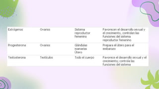 Sistema Endocrino.pdf