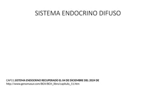 SISTEMA ENDOCRINO DIFUSO
CAP11.SISTEMA ENDOCRINO RECUPERADO EL 04 DE DICIEMBRE DEL 2024 DE
http://www.genomasur.com/BCH/BCH_libro/capitulo_11.htm
 