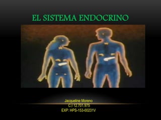 EL SISTEMA ENDOCRINO
Jacqueline Moreno
C.I 12.701.975
EXP: HPS-153-00231V
 